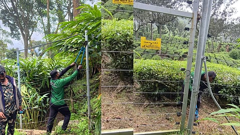 Wild Elephant Attack Forest Action.