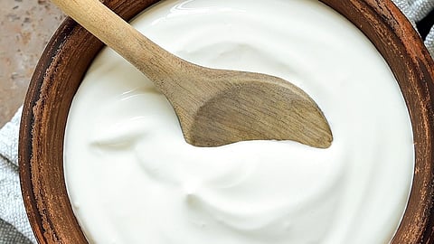 Yoghurt and Curd