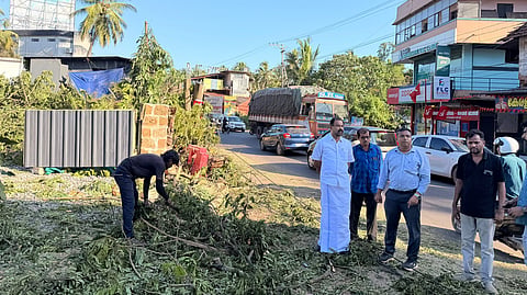 Thazhe Chovva Trees Felled 