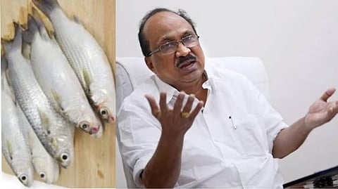 KV THOMAS