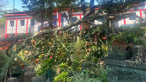 Kannur Central Jail Gaya Sculpture Garden