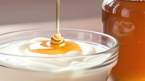 Yogurt 
