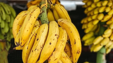 Banana