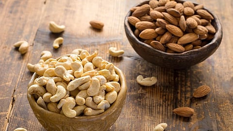 protein vs fiber