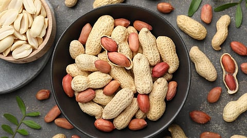 Peanut protein 