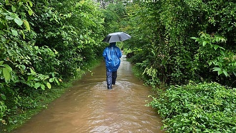 kerala rain