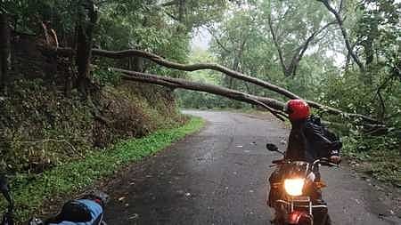 Rain Alert Tourism Restrictions