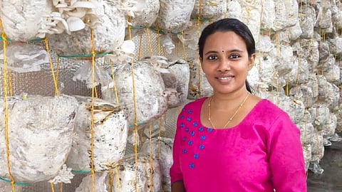 Surabhi Victory Mushroom Farm