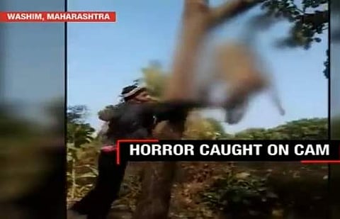 കുരങ്ങിനോടും ക്രൂരത; ഞെട്ടിപ്പിക്കുന്ന സംഭവത്തിന്റെ വീഡിയോ കാണാം...