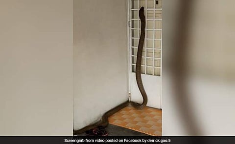 ഈ വീഡിയോ കണ്ടാല്‍ ഉറങ്ങാനൊന്ന് മടിക്കും
