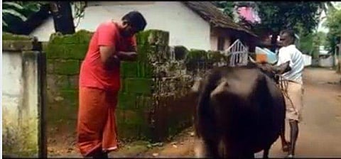 പെറ്റമ്മയോട് കലഹിച്ച് പശുവിന് മുന്നില്‍ ഭയഭക്തി ബഹുമാനത്തോടെ നില്‍ക്കുന്നവര്‍; വീഡിയോ വൈറലാകുന്നു