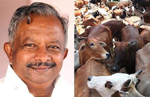 ആള്‍ക്കൂട്ട ആക്രമണം കാരണം ഗുജറാത്തില്‍ നിന്ന് പശുക്കളെ കൊണ്ടുവരാന്‍ വയ്യെന്ന് മന്ത്രി കെ.രാജു