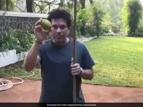 തോട്ടികൊണ്ട് നാരങ്ങയെ ബൗണ്ടറി കടത്തി സച്ചിന്‍; ക്രിക്കറ്റ് ദൈവത്തിന്റെ നാരങ്ങ പറിക്കല്‍ വീഡിയോ വൈറല്‍