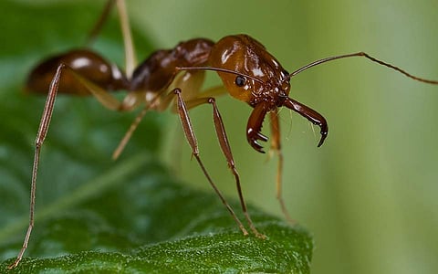 പ്രതീകാത്മക ചിത്രം