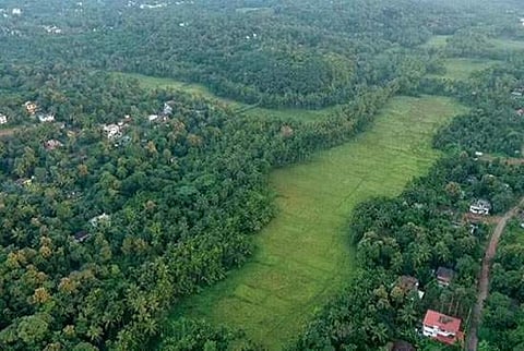 കീഴാറ്റൂര്‍ ബൈപ്പാസ് വയലിലൂടെ തന്നെ ; അലൈന്‍മെന്റില്‍ മാറ്റമില്ലെന്ന് കേന്ദ്രം ; ബിജെപി വാഗ്ദാനം പാഴായി