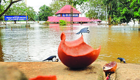 വെള്ളപ്പൊക്കത്തിന്റെ ബാക്കിപത്രം