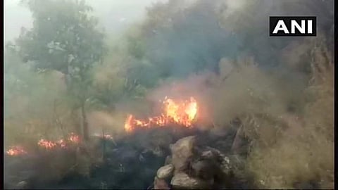 തേനിയിലെ കാട്ടുതീ : എട്ടുപേര്‍ മരിച്ചു, 25 പേരെ രക്ഷപ്പെടുത്തി; ഏഴുപേരെ ഇനിയും കണ്ടെത്താനായിട്ടില്ല