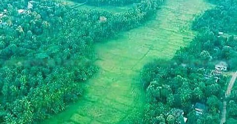 കീഴാറ്റൂരില്‍ മേല്‍പ്പാതയ്ക്ക് അനുമതി തേടി സര്‍ക്കാര്‍ ; മന്ത്രി ജി സുധാകരന്‍ കേന്ദ്രത്തിന് കത്തയച്ചു