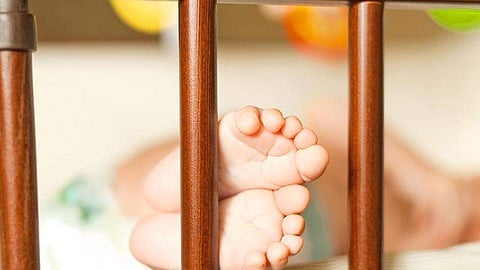 അമ്മക്കൊപ്പം ഉറങ്ങിക്കിടന്ന നവജാത ശിശുവിനെ കുരങ്ങന്‍ എടുത്തുകൊണ്ട് പോയി
