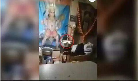 വിമാനത്താവളത്തിലെ കാന്റീനില്‍ എലികള്‍ ഓടി നടക്കുന്ന ദൃശ്യങ്ങള്‍ സോഷ്യല്‍ മീഡിയയില്‍ വൈറല്‍ ( വീഡിയോ)