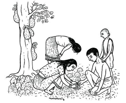 ചിത്രീകരണം : മണി കാക്കര