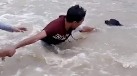 വെള്ളപ്പൊക്കത്തില്‍പ്പെട്ട നായയ്ക്ക് മനുഷ്യച്ചങ്ങലയുണ്ടാക്കി സാഹസിക രക്ഷപ്പെടുത്തല്‍