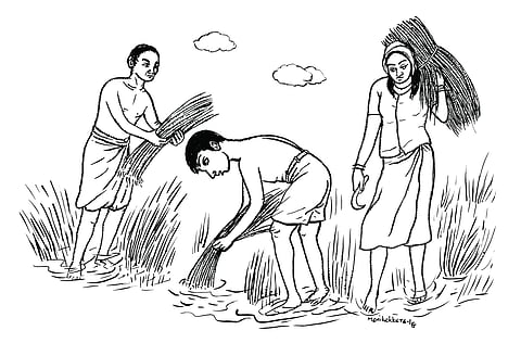 വര: മണി കാക്കര