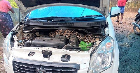 പ്രളയകാലത്ത് കാറില്‍ അപ്രതീക്ഷിത അതിഥി ; നിര്‍ത്തിയിട്ടിരുന്ന കാറില്‍ കയറിയത് വമ്പന്‍ പെരുമ്പാമ്പ്