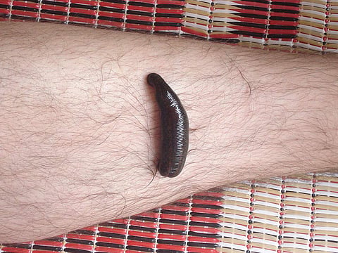 പ്രതീകാത്മക ചിത്രം