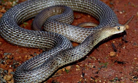 പ്രതീകാത്മക ചിത്രം