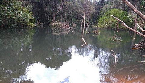 അരുവി തടാകമായി മാറി, വയനാട് വനത്തിനുള്ളിലെ ഉരുള്‍പ്പൊട്ടലില്‍ സംഭവിച്ചത്‌