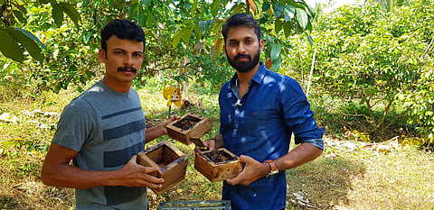 ആഷ്‌ലിയും ബിനിലും