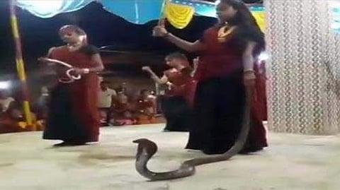 മൂര്‍ഖന്‍പാമ്പിനെ കൈയില്‍ പിടിച്ചുകൊണ്ടുള്ള നൃത്തം വൈറലായി;  12 കാരിയും രണ്ട് സ്ത്രീകളും അറസ്റ്റില്‍