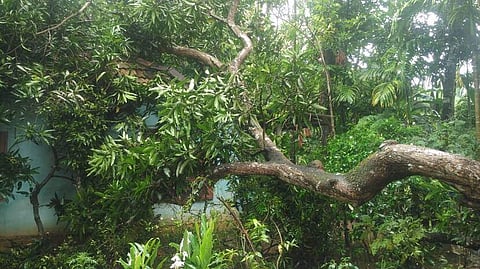 പ്രതീകാത്മക ചിത്രം