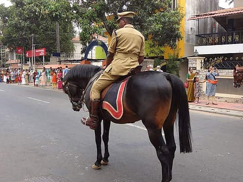 ആഡംബരക്കാറില്‍ പൊലീസിന്റെ കുതിര തൊഴിച്ചു; മുഖ്യമന്ത്രിക്കും ഡിജിപിക്കും പരാതി, അന്വേഷണത്തിന് നിര്‍ദേശം
