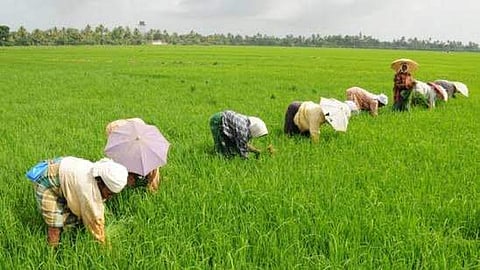 കാര്‍ഷിക വായ്പയുടെ മൊറട്ടോറിയം വീണ്ടും നീട്ടി; മാര്‍ച്ച്31വരെ സമയം
