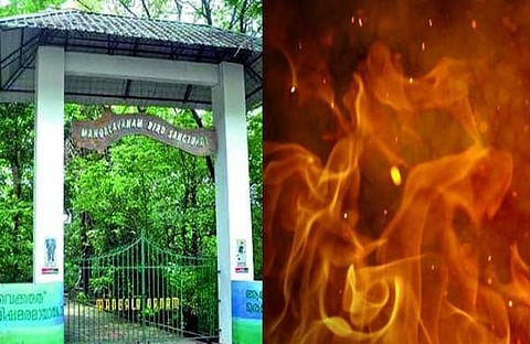 ഹൈക്കോടതിക്ക് സമീപം മംഗളവനത്തില്‍ തീപിടിത്തം; കൊച്ചി നഗരത്തില്‍ ദിവസങ്ങള്‍ക്കിടെ മൂന്നാമത്തെ അഗ്നിബാധ