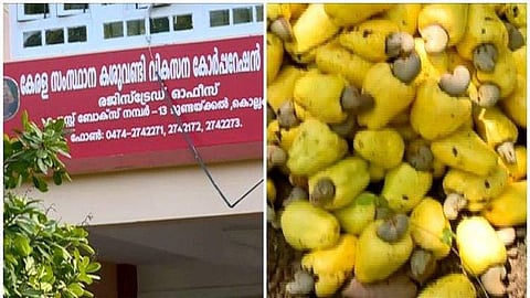 മദ്യം ഉത്പാദിപ്പിക്കാന്‍ അനുമതി വേണം; കശുവണ്ടി വികസന കോര്‍പ്പറേഷന്‍ സര്‍ക്കാരിനെ സമീപിച്ചു