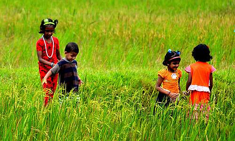 കുട്ടികളെ തൊടിയില്‍ കളിച്ചുവളരാന്‍ വിടൂ; പച്ചപ്പും ഹരിതാഭയും മാനസികപ്രശ്‌നങ്ങളെ അകറ്റും 