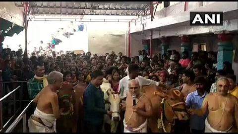രാജ്യത്ത് ഇനി ഒരു കുട്ടിയും ബലാത്സംഗത്തിന് ഇരയാകാന്‍ പാടില്ല; പശുക്കളെ ആരാധിച്ച് പൂജാരിമാര്‍, പ്രാര്‍ത്ഥന 