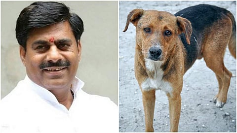 'ഞങ്ങള്‍ പട്ടികള്‍ തന്നെ, ജനങ്ങളുടെ വിശ്വസ്തരായ പട്ടികള്‍'; കോണ്‍ഗ്രസിന് മറുപടിയുമായി ബിജെപി
