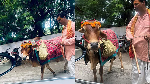 'വിശുദ്ധ പശു ഭാവി പ്രവചിക്കും'; റോബര്‍ട്ട് വദ്രയുടെ വീഡിയോ വൈറല്‍ 