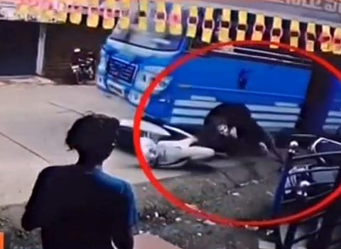 നിയന്ത്രണംവിട്ട ബസിന്റെ ചക്രത്തിനുളളില്‍ കുടുങ്ങി റോഡിലൂടെ നിരങ്ങിനീങ്ങി, യാത്രക്കാരുടെ ബഹളം; ബൈക്ക് യാത്രക്കാരന്‍ അത്ഭുതകരമായി രക്ഷപ്പെട്ടു