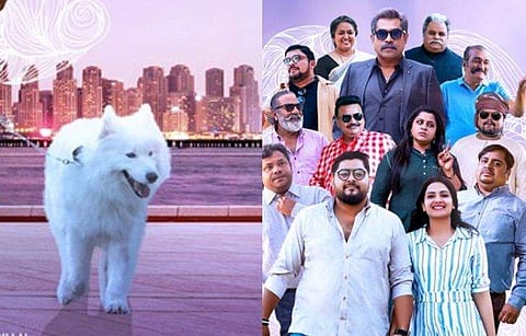 ഹോളിവുഡിൽ നിന്ന് മലയാളത്തിലേക്ക്; സൂപ്പർ ഡോഗ് ആദ്യമായി അഭിനയിക്കുന്ന ഇന്ത്യൻ സിനിമ 