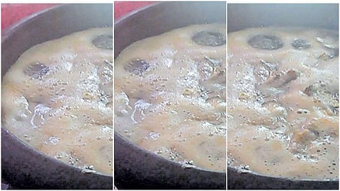 തിരമാല പോലെ പതഞ്ഞുപൊങ്ങി മീന്‍ കറി; അമ്പരന്ന് വീട്ടുകാര്‍