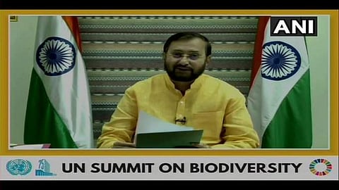 'കോവിഡിന് ഇടയാക്കിയത് തെറ്റായ ഭക്ഷണവും പ്രകൃതി ചൂഷണവും'- പ്രകാശ് ജാവഡേക്കര്‍