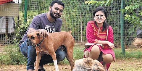 500 തെരുവ് മൃഗങ്ങള്‍ക്ക് വിവാഹ സദ്യ; പണം കണ്ടെത്താന്‍ ലോണെടുത്തു, ഇങ്ങനെയും ഒരു കല്യാണം!