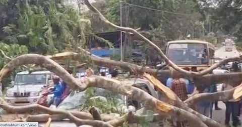 കോട്ടയത്ത് ഓടിക്കൊണ്ടിരുന്ന കാറിന് മുകളിലേക്ക് മരക്കൊമ്പ് ഒടിഞ്ഞുവീണു; യാത്രക്കാരന്‍ അത്ഭുതകരമായി രക്ഷപ്പെട്ടു