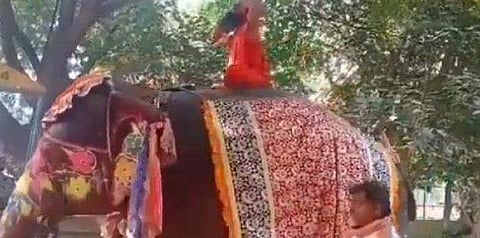 ആനപ്പുറത്തിരുന്ന് യോഗ ചെയ്യുന്നതിനിടയില്‍ നിലത്ത് വീണ് ബാബാ രാംദേവ്‌-വിഡിയോ