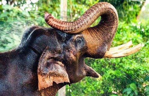 പ്രതീകാത്മക ചിത്രം